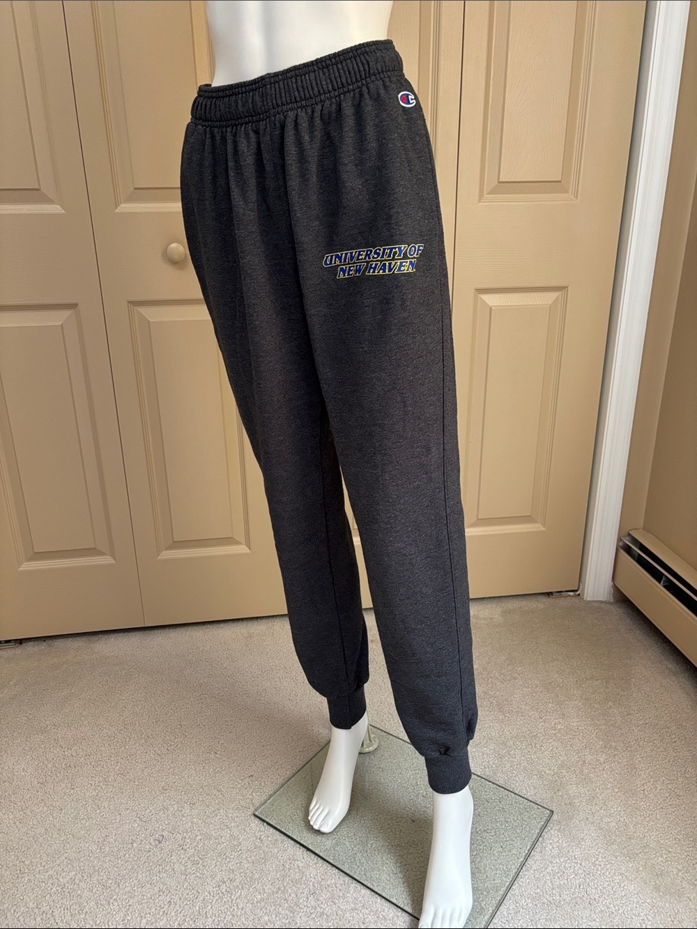 University of New Haven Champion sweatpants